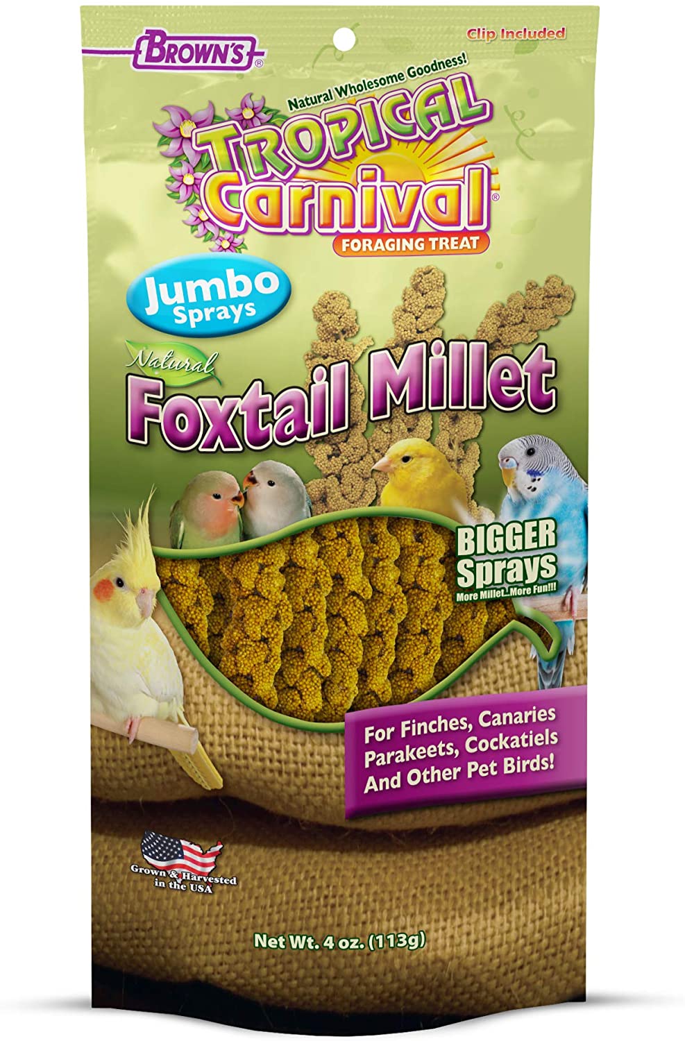 F.M. Brown's Super Premium   Natural Foxtail Spray Millet Bird Treats - 4 oz  