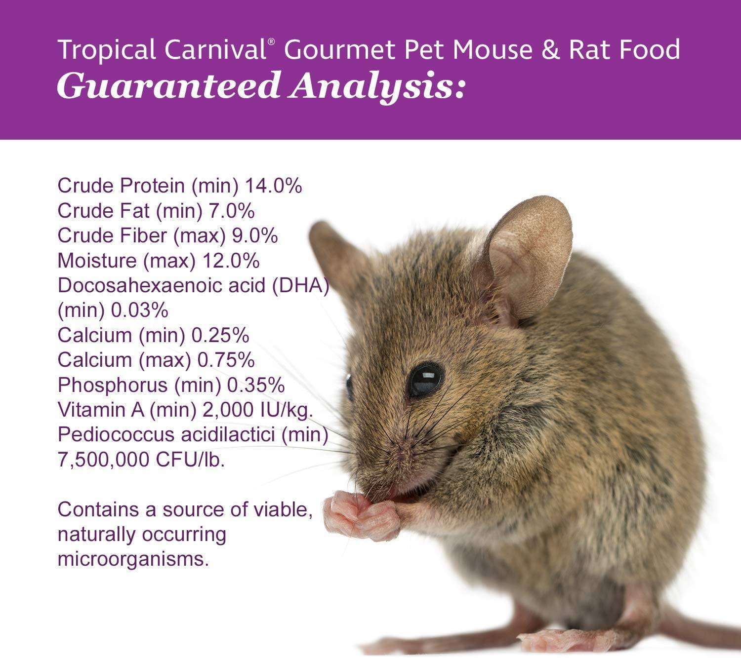 F.M. Brown's Tropical Carnival Rat-Mouse Gourmet Small Animal Food - 2 lb Bag  