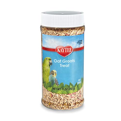 Forti-Diet Pro Health Oat Groats Treat for All Birds - 11 oz  