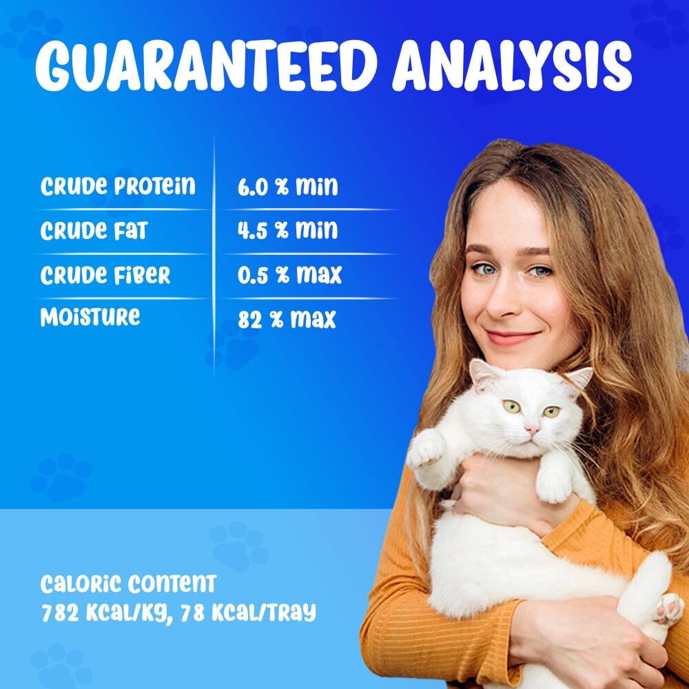 Forza10 Nutraceutic Actiwet Digestive Support Icelandic Fish Recipe Wet Cat Food  