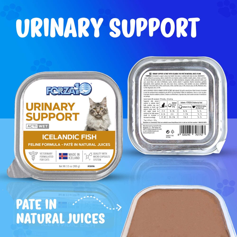 Forza10 Nutraceutic Actiwet Urinary Support Icelandic Fish Recipe Wet Cat Food  