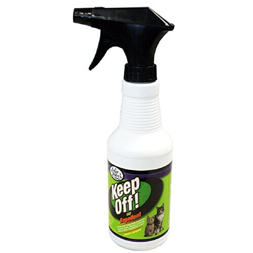 Four Paws Keep Off! Indoor/Outdoor Cat & Kitten Repellent - 16 Oz  