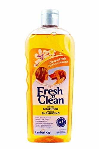 Fresh 'N Clean Scented Dog Shampoo - Fresh Scent - 18 Oz