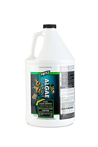 Fritz Algae Clean Out - 1 gal  