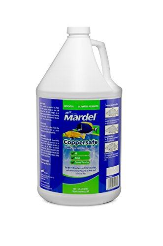 Fritz Mardel Coppersafe - 1 gal  