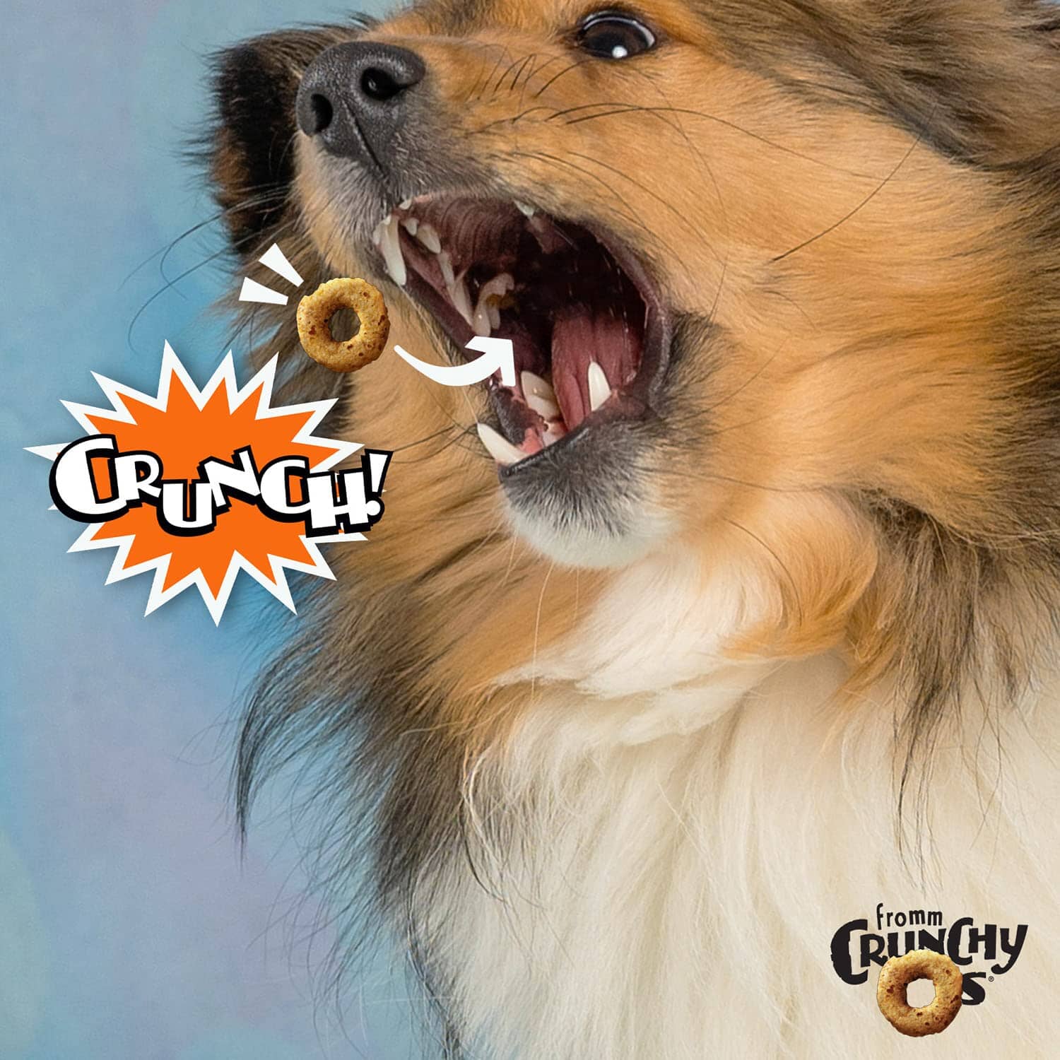 FROMM CrunchyO's Peanut Butter Jammers Crunchy Dog Treats - 6 Oz  