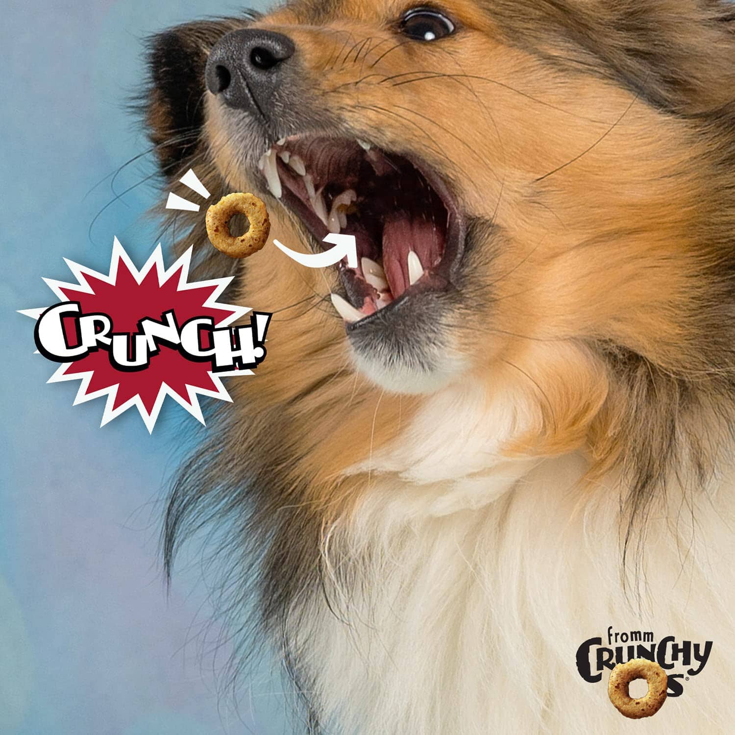 FROMM CrunchyO's Pot Roast Punchers Beef Pork and Sweet Potato Crunchy Dog Treats - 26 Oz  