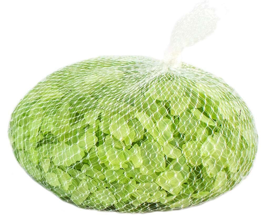 Galapagos Aquarium Sea Glass Chartreuse - 4 lb  