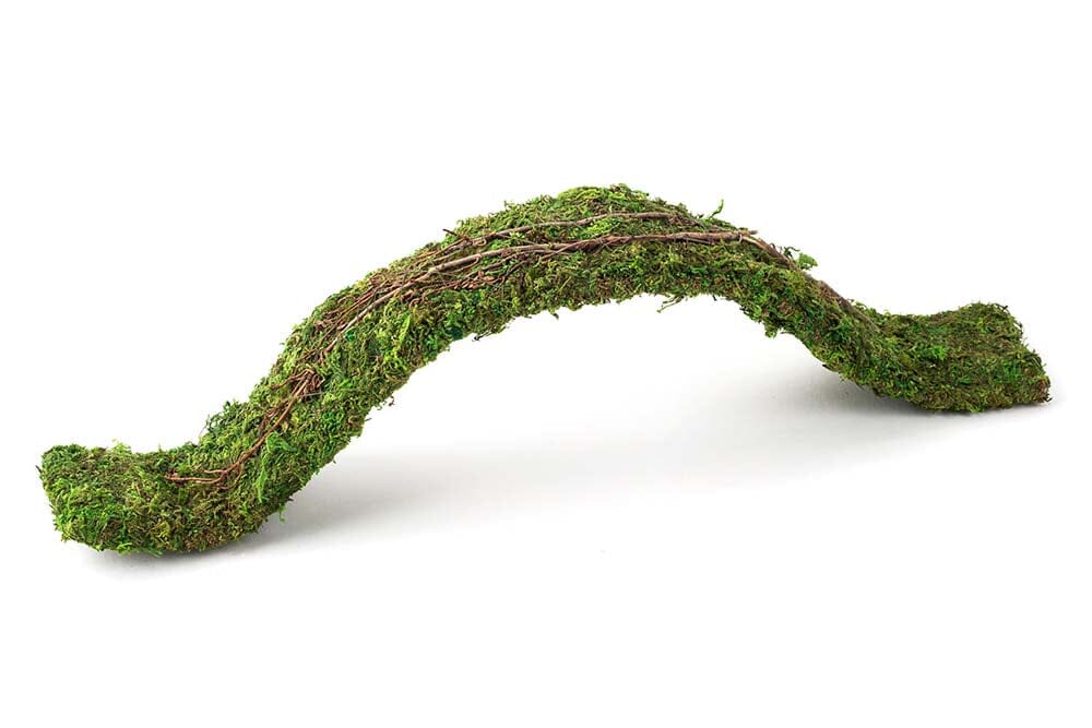 Galapagos Flexible Bridge Terrarium Ornament - Fresh Green - 2 ft  