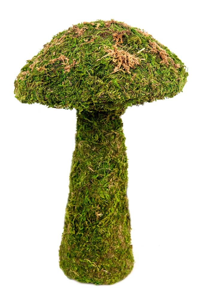 Galapagos Moss Mushroom Decorative Terrarium Ornament - Fresh Green - 11 in - Small  
