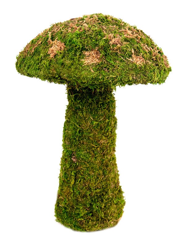 Galapagos Moss Mushroom Decorative Terrarium Ornament - Fresh Green - 14 in - Medium  