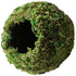 Galapagos Mossy Cave Terrarium Hideaway - Fresh Green - 4 in  