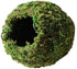 Galapagos Mossy Cave Terrarium Hideaway - Fresh Green - 6 in  