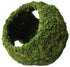 Galapagos Mossy Cave Terrarium Hideaway - Fresh Green - 8 in  