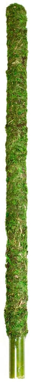 Galapagos Mossy Perch Terrarium Ornament - Fresh Green - 24 in  