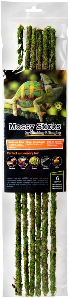 Galapagos Mossy Sticks Terrarium Ornament - Fresh Green - 18 in - 6 Count  