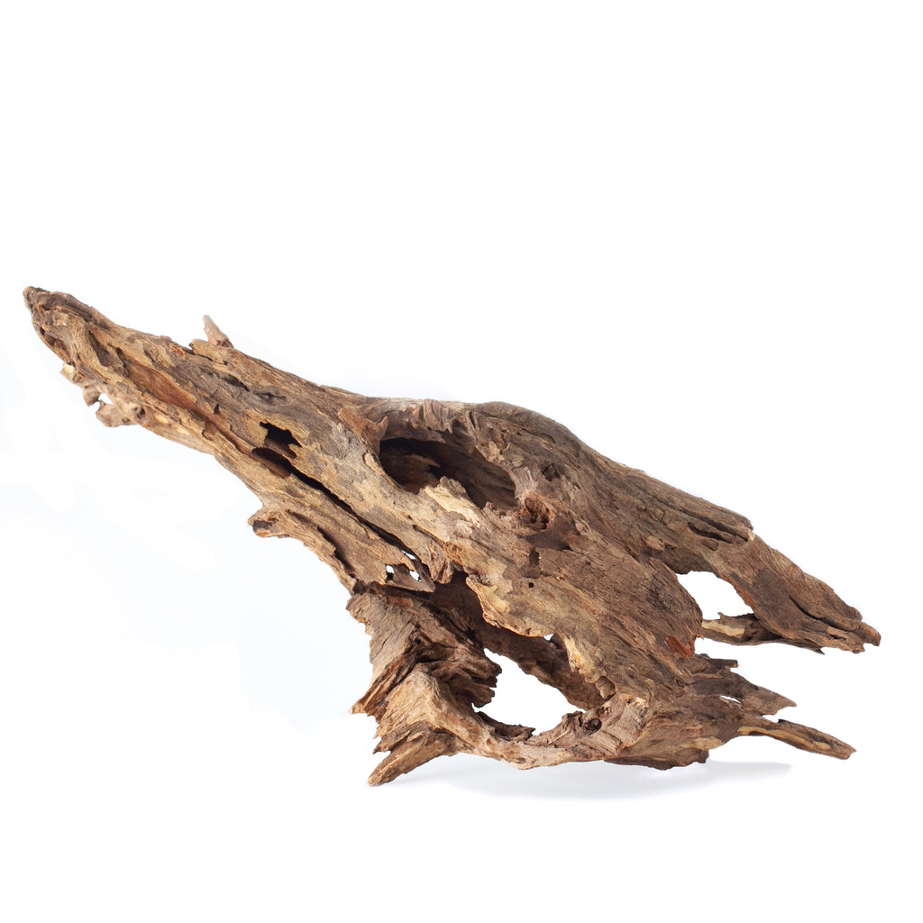 Galapagos Natural Driftwood Hollow Tree Root - 12-16 in  