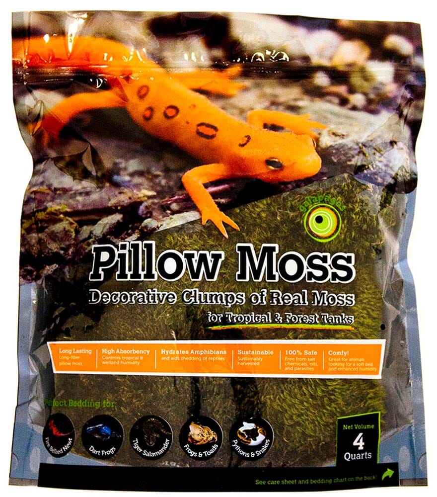 Galapagos Pillow Moss for Tropical & Forest Tanks - Fresh Green - 4 Qt  