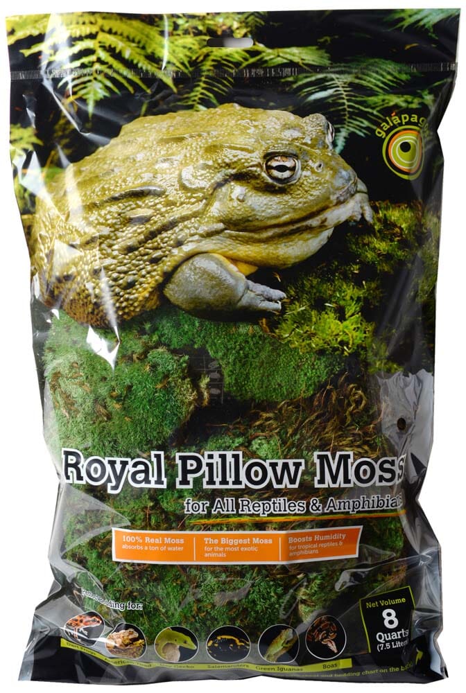 Galapagos Royal Pillow Moss for Tropical & Forest Tanks - Fresh Green - 8 Qt  