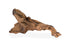 Galapagos Sinkable Driftwood Brown - 3-6 in - Extra Small  