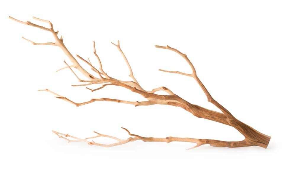 Galapagos Staghorn Wood Manzanita Branch - Brown - 13-18 in  