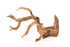 Galapagos Staghorn Wood Manzanita Root - Brown - 19 In - 24 in  