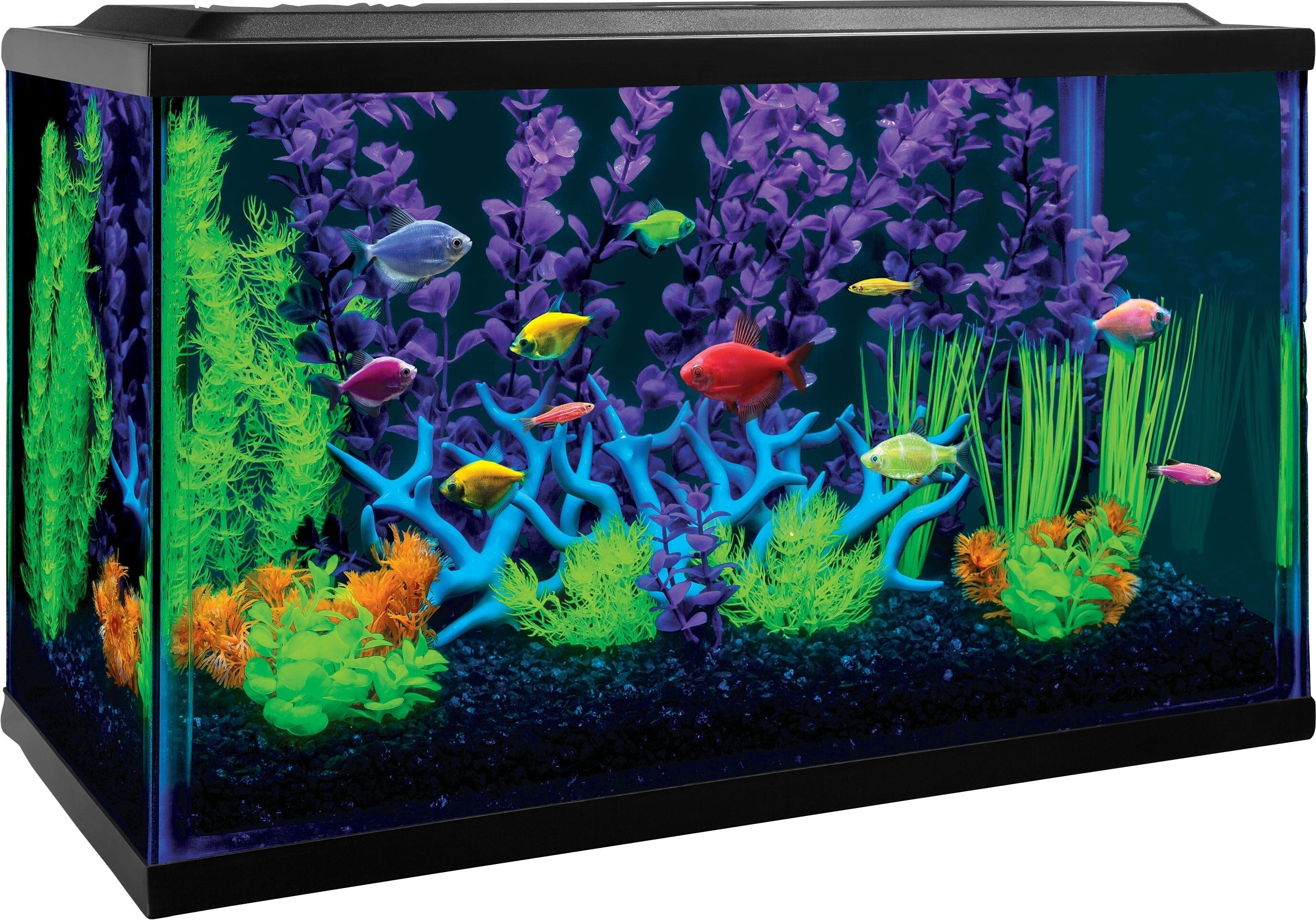 Glofish Aquarium Kit Aquatics Starter Kits - 10 Gal  