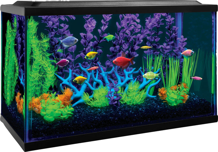 Glofish Aquarium Kit Aquatics Starter Kits - 10 Gal