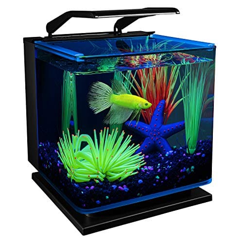 Glofish Betta Glass Aquarium Kit - 3 Gal