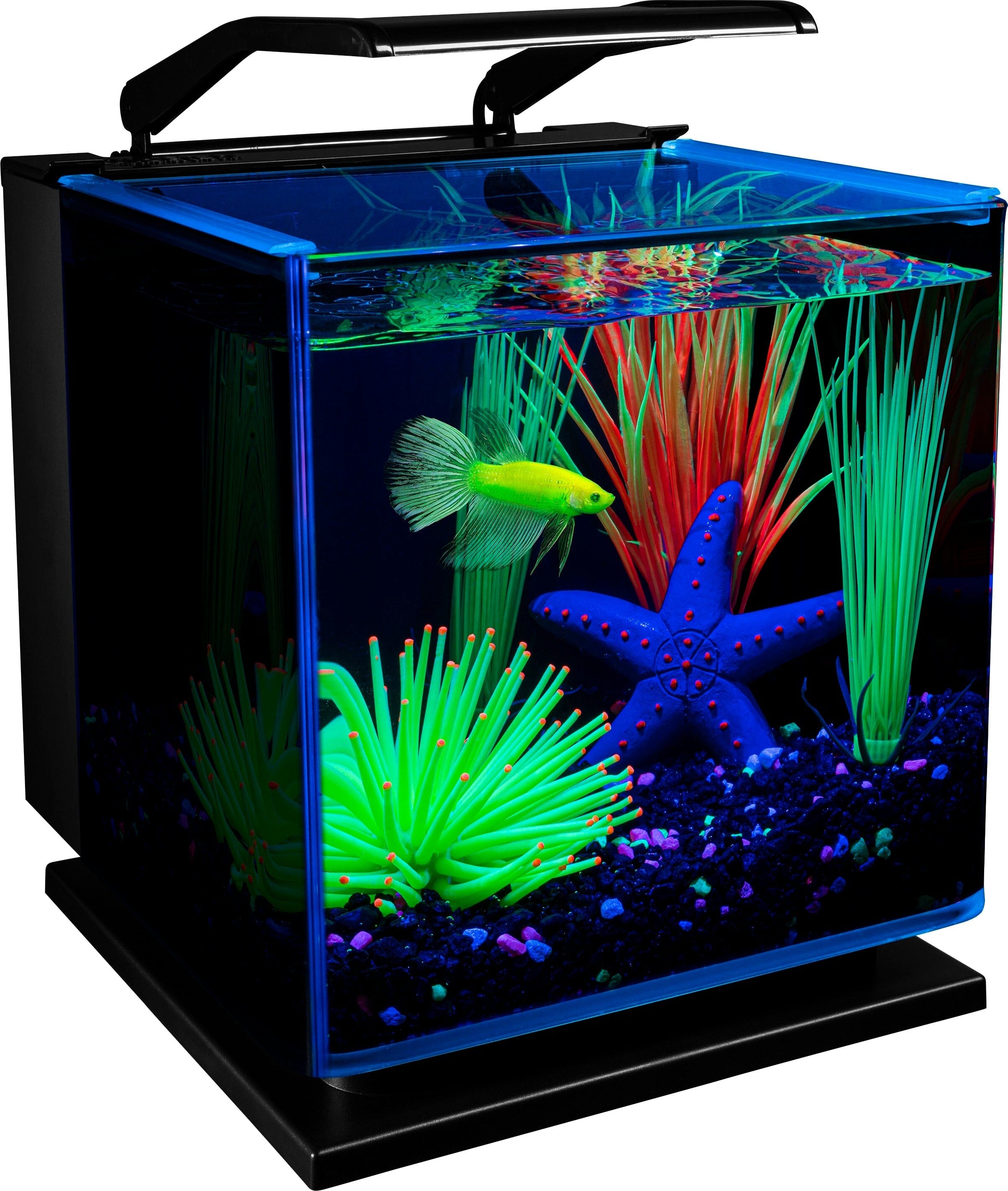 Glofish Betta Tinted Aquarium Kit Aquatics Starter Kits - 3 Gal  