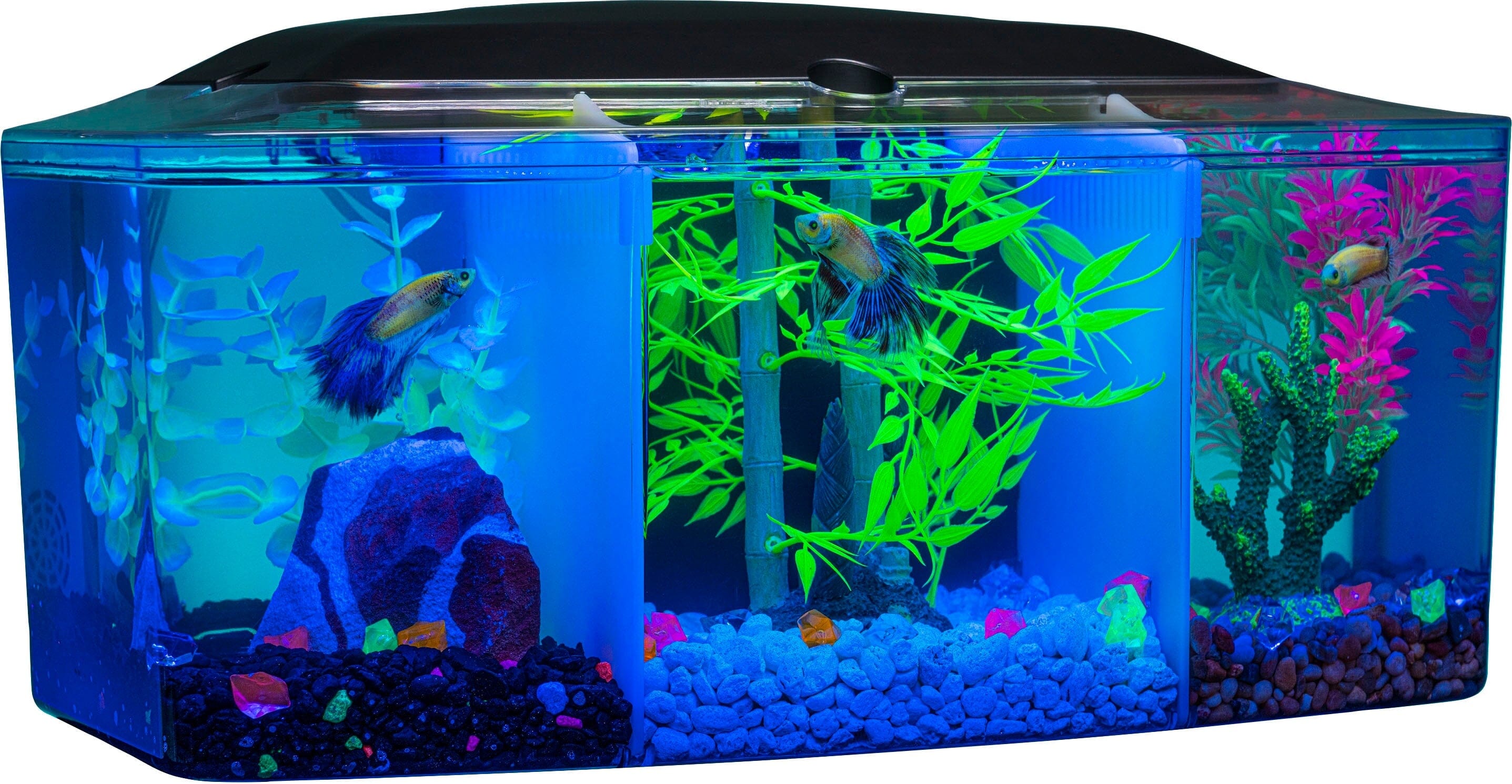 Glofish Betta Trilogy Aquarium Aquatics Starter Kits  