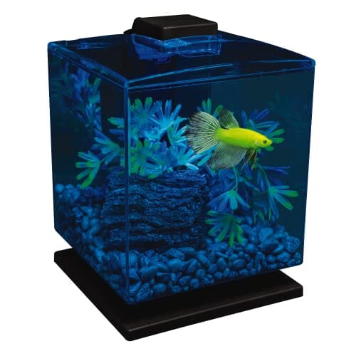 Glofish LED Aquarium Kit Cube Aquatics Starter Kits - 1.5 Gal