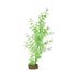 Glofish Multi-Color Plastic Aquarium Plant - Green and White - Large  