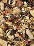 Goldenfeast Indonesian Blend Parrot Bird Food - 3 Lbs  