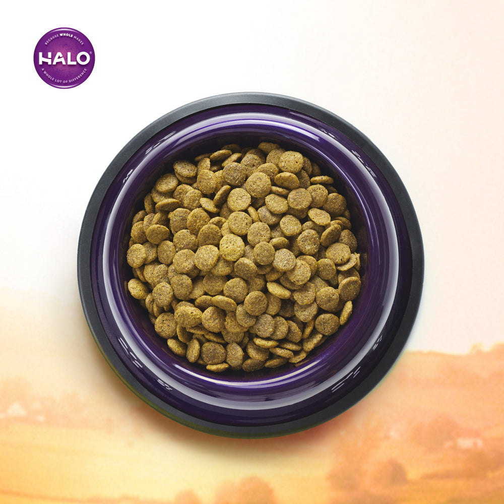 Halo Adult Holistic Garden of Vegan Dry Dog Food  