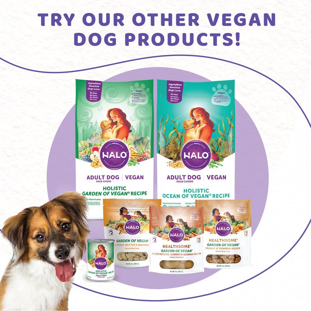 Halo Garden of Vegan Oats n' Blueberries Biscuit Dog Treats  