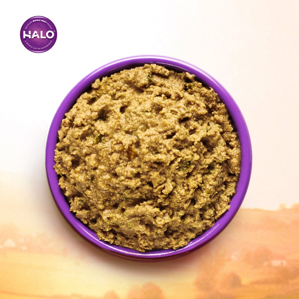 Halo Grain Free Indoor Cat Chicken Pate Canned Cat Food  