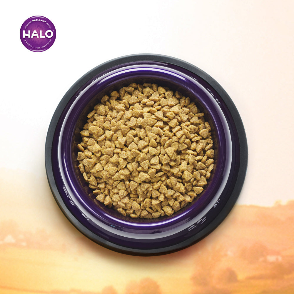 Halo Indoor Grain Free Healthy Weight Holistic Wild Salmon & Whitefish Recipe Dry Cat Food  