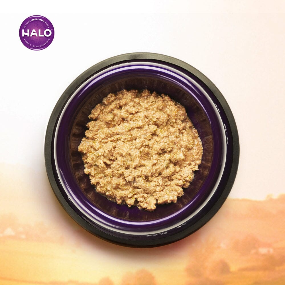 Halo Puppy Grain Free Chicken Recipe Canned Dog Food  