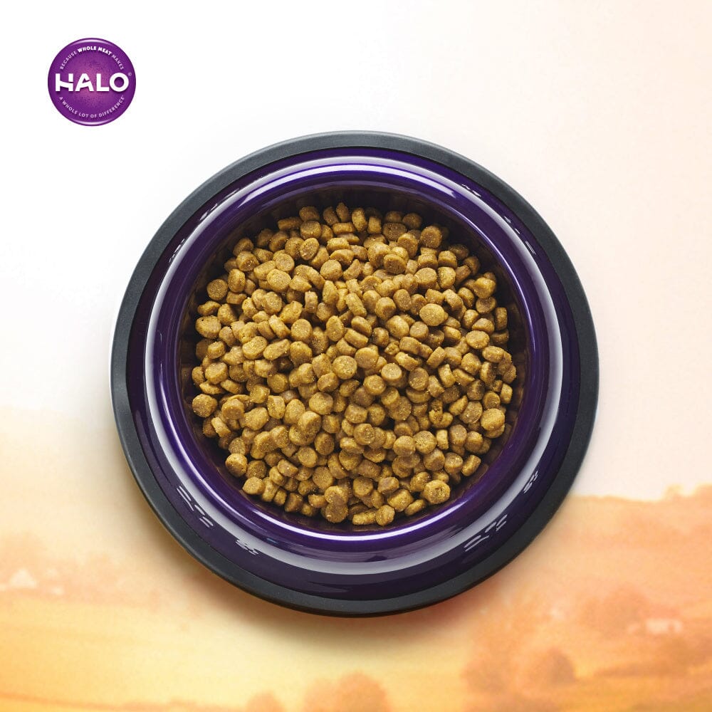 Halo Sensitive Stomach Holistic Seafood Medley Dry Cat Food  