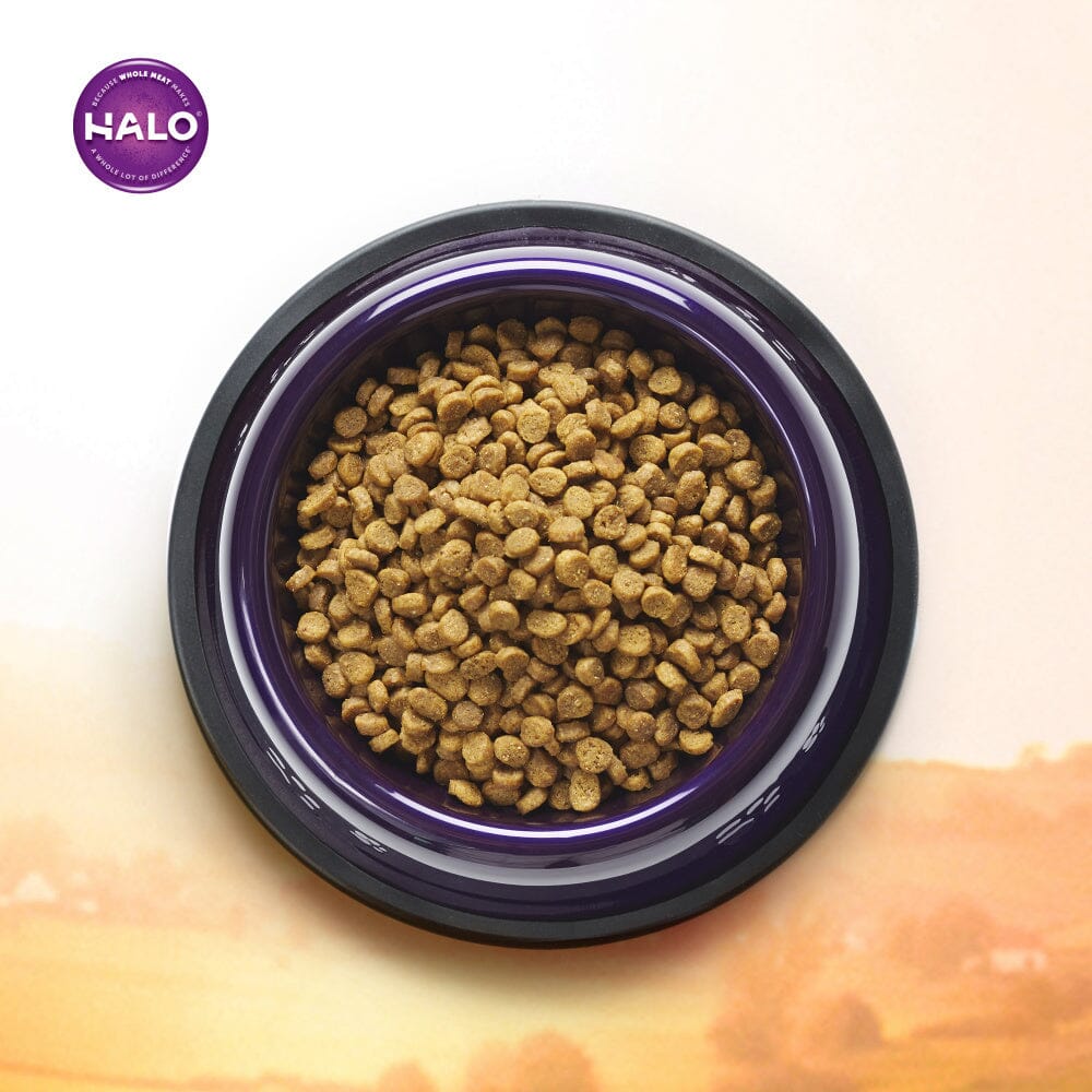 Halo Small Breed Holistic Grain Free Game Bird Medley Dry Dog Food  