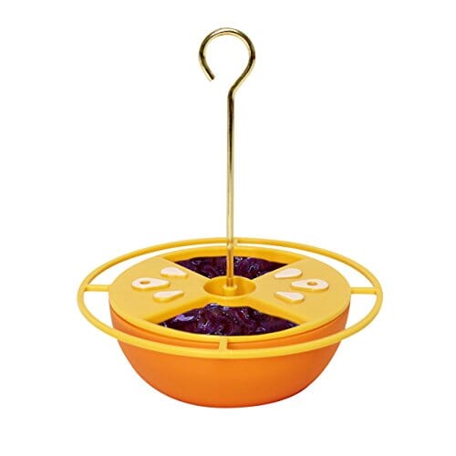 Heath Citrus Buffet Oriole Feeder - Orange - 6 Oz  