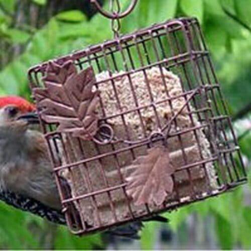 Heath Copper Leaf Suet and Seed Cake Wild Bird Feeder - Copper - 1 Cake Cap  