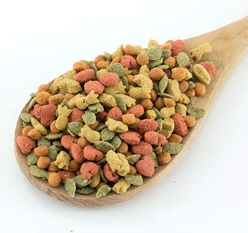 Higgins Intune Natural Conure/Cockatiel Bird Food - 2 Lbs  