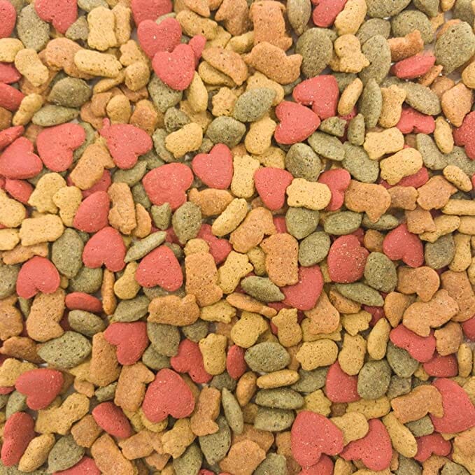 Higgins Intune Natural Parrot Bird Food - 3 Lbs  