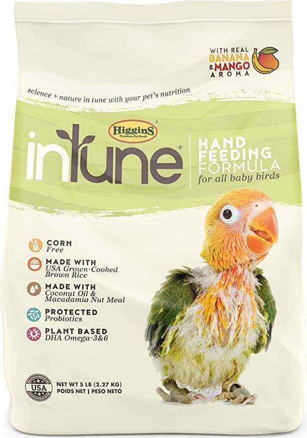 Higgins Intune Natural Regular Hand Feeding Bird Food - 5 Lbs