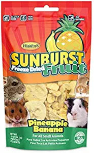 Higgins Sunburst Freeze Dried Fruit Pineapple Banana Small Animal Treats - 0.5 Oz  