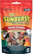 Higgins Sunburst Gourmet True Fruits Bird Treat Sticks - 5 Oz  