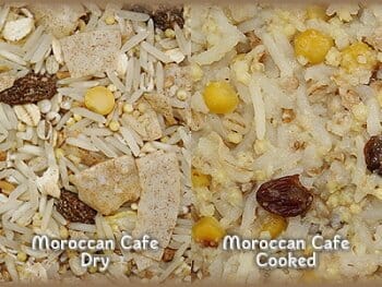 Higgins Worldly Cuisines Morrocan Café Bird Food - 13 Oz