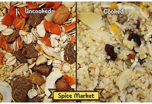 Higgins Worldly Cuisines Spice Market Bird Food - 2.5 Lbs  